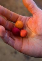 Chytil Smoke Pop-Up 15 mm 35 g (1)