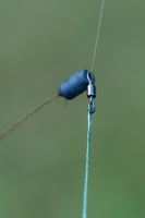 Preston Innovations Záveska Feeder Links Soft 3 ks (13)