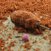 Life Orange Krmítko River (1)