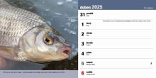 ČRS Stolový Rybársky Kalendár Na Rok 2025 (7)