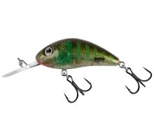 Salmo Wobler Rattlin Hornet Floating Green Gill Clear