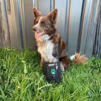 Survival Lekárnička First Aid Kit Pet (3)