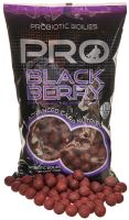 Starbaits Boilies Probiotic Pro Blackberry Starbaits Boilies Probiotic Pro Blackberry