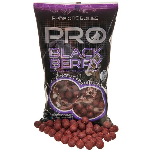 Starbaits Boilies Probiotic Pro Blackberry