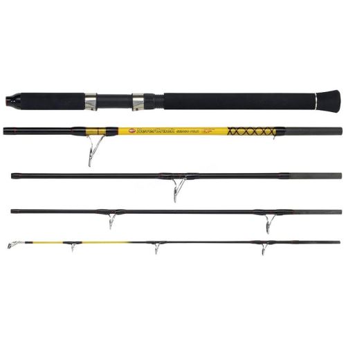 WFT Prút Never Crack Big fish 2,4 m 150-700 g