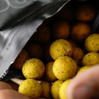 Munch Baits Boilies Citrus Nut (3)