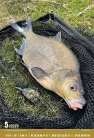 ČRS Nástenný Rybársky Kalendár Na Rok 2024 (5)