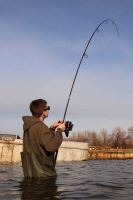 Nikl Prút Bond Girl Power Deluxe Cork 3,66 m (12 ft) 3 lb (10)