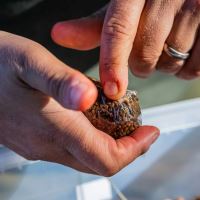 One More Cast PVA Vrecko Fade Solid PVA Bags 25 ks (21)