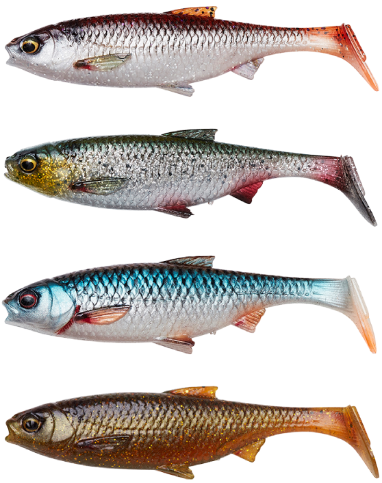 E-shop Savage gear gumová nástraha 3d river roach clear water mix 4 ks - 10 cm 10 g