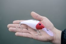 Black Cat Wobler Cranker Red/Glow in the Dark 16 cm 50 g (9)