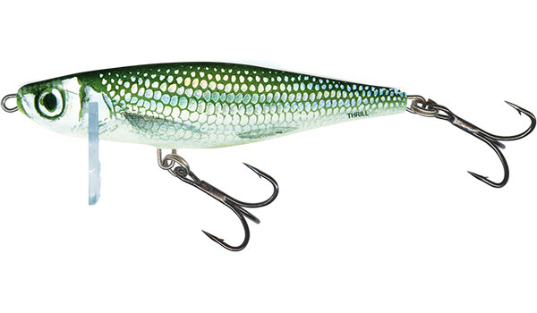 Salmo wobler thrill sinking holo bleak-5 cm 6,5 g