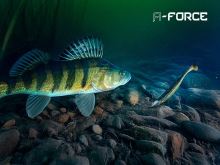 Delphin Jigová Hlavička S Držiakom A-Force 5 ks 10 g (7)
