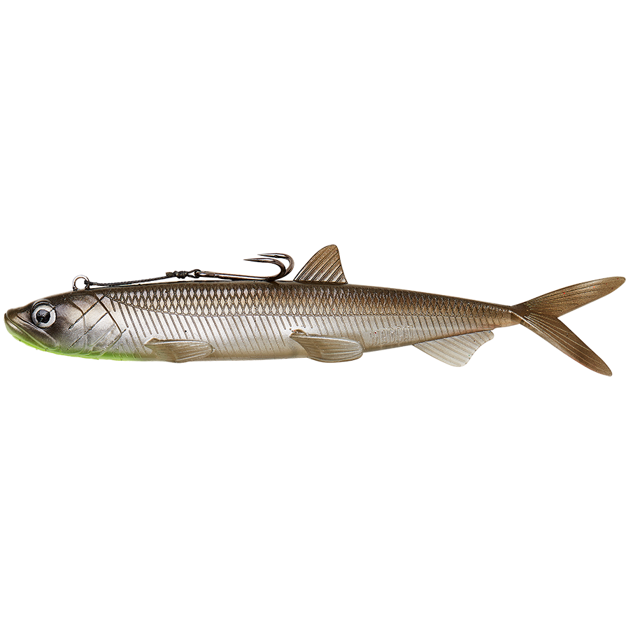 Madcat gumová nástraha pelagic cat lure sinking smelt - 24 cm 110 g