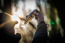 Fox Rage Gumová Nástraha Jointed Replicant Original Stickleback (3)