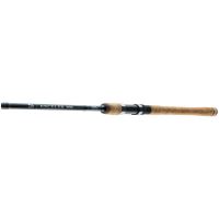 Daiwa Prút Exceler Traditional Spin 2,4 m 30-80 g (2)