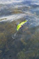 Salmo Wobler Hornet Floating Real Identity Perch (13)
