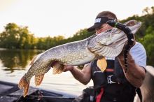 Savage Gear 3D Snake Floating Rattle Snake - 20 cm 25 g (5)