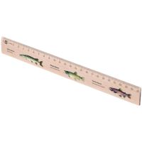 Metrie Pravítko 25 cm S Motívom Rýb Metrie Pravítko 25 cm S Motívom Rýb