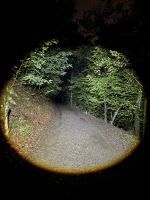 Holdcarp Čelovka Zoomable Sensor Headlamp (7)