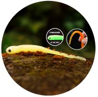 Redbass Smáčik Big Snake Lemon UV COLOR