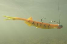 Black Cat Gumová Nástraha Cat Pelagic Firetiger 27 cm 60 g (5)