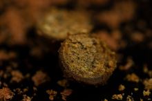 Sticky Baits Boilie The Krill Active Shelf Life 5 kg (2)