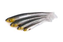 Fox Rage Gumová Nástraha Slick Shad Silver Halo (1)