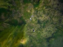 Fox Plavák Edge Zig Float Kit (9)