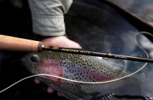 Scierra Prút Brook 9 ft #5 Rec. Wt. 11-13 g (4)