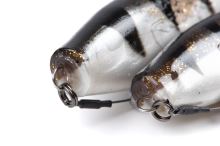 Fox Rage Gumová Nástraha Zander Pro Shad Loaded UV Glitter Perch (2)