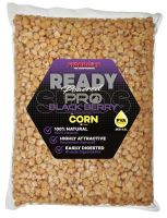 Starbaits Kukurica Ready Seeds Pro Blackberry - 3 kg