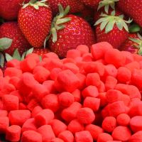 Kamikaze Carp Plávajúca Nástraha Marshmallow 120 ks (5)