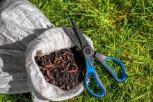 Preston Innovations Nožnice Na Dážďovky Worm Scissors (7)