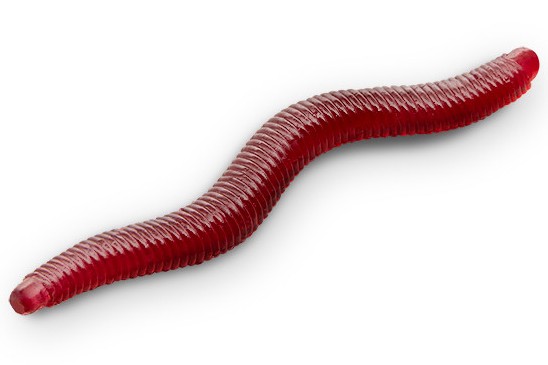 E-shop Delphin umelá nástraha b! stinxworm 4 cm 50 ks - bloody / garlic
