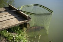 Korum Podberák Full Metal Speci Square Latex (2)