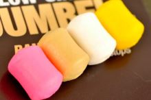 Korda Dumbell Pop-Up Fishy Fish Hnedá Ryba (3)