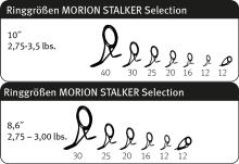 Sportex Prút Morion Stalker Selection 3 m 3,25 lb (6)