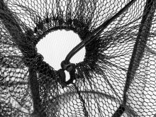 Delphin Plávajúca Sieťka Na Nástražné Ryby BaitPOOL 55/90 cm (1)