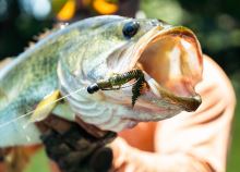 Savage Gear Gumová Nástraha Ned Salamender Floating Black Blue 7,5 cm 3 g (2)