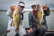 Fox Rage Nohavice Light Camo RS Triple Layer Salopettes (25)