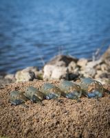 Matrix Krmítko Plastic Open Ended Feeder XS (13)