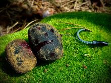 LK Baits Nutrigo Predator (5)