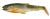 Savage Gear Gumová Nástraha Craft Cannibal Paddletail Olive Pearl Hot Orange