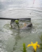 Matrix Podberáková Hlava Carp Scoop Landing Net (18)