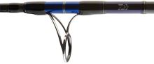 Daiwa Prút Saltiga AP 2,55 m 50-160 g (3)