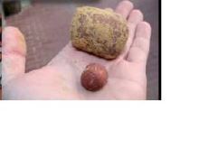 Mikbaits Mamut boilie 1 kg 50x35 mm (1)