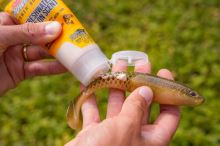 Berkley Powerbait Gel 80 ml (10)