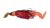 Abu Garcia blyskáč Beast Bladed Jig Sinking Redtiger 25 cm 50 g