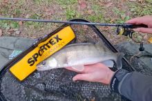 Sportex Prút Black Arrow G-4 Spin 2,7 m 16-76 g (9)